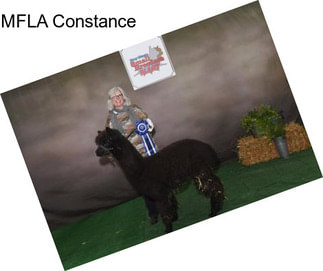 MFLA Constance