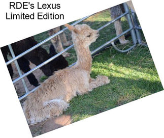 RDE\'s Lexus Limited Edition