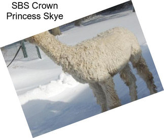 SBS Crown Princess Skye