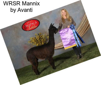 WRSR Mannix by Avanti