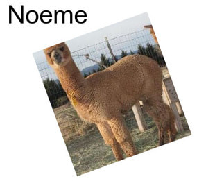 Noeme