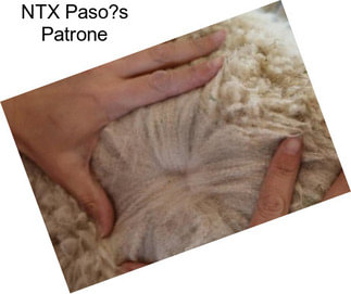 NTX Paso?s Patrone