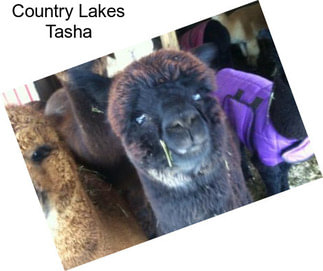 Country Lakes Tasha