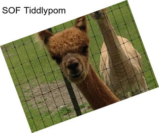 SOF Tiddlypom