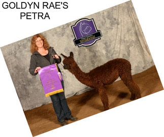 GOLDYN RAE\'S PETRA