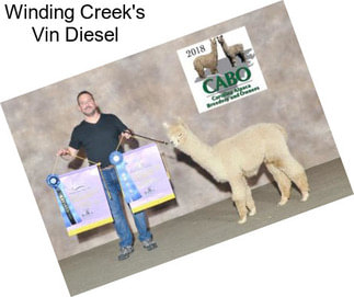 Winding Creek\'s Vin Diesel