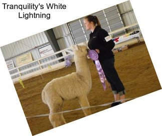 Tranquility\'s White Lightning