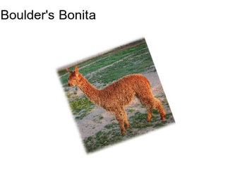 Boulder\'s Bonita