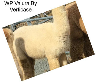 WP Valura By Verticase