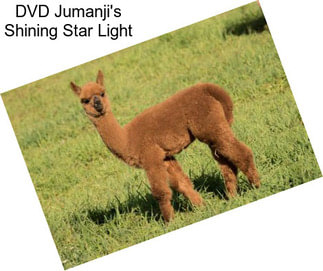 DVD Jumanji\'s Shining Star Light