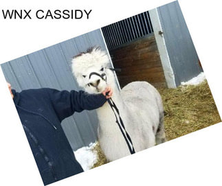 WNX CASSIDY