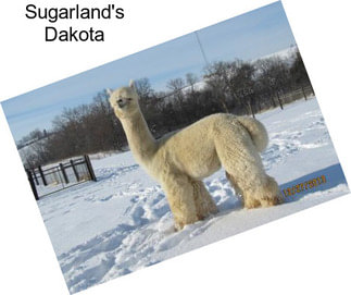 Sugarland\'s Dakota