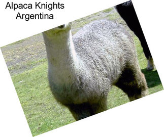 Alpaca Knights Argentina