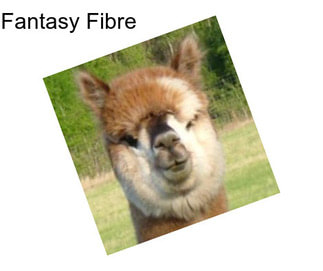 Fantasy Fibre