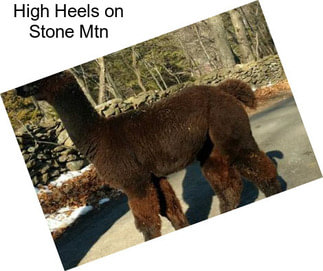 High Heels on Stone Mtn