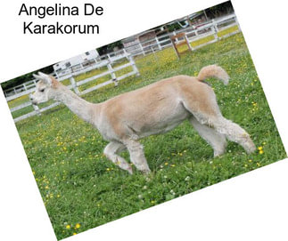 Angelina De Karakorum