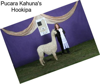 Pucara Kahuna\'s Hookipa