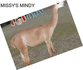 MISSY\'S MINDY