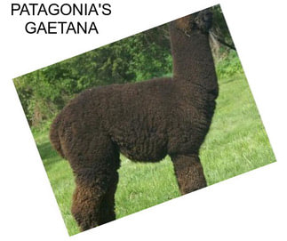 PATAGONIA\'S GAETANA