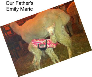 Our Father\'s Emily Marie