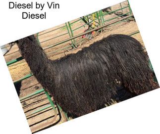 Diesel by Vin Diesel