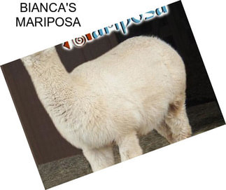 BIANCA\'S MARIPOSA