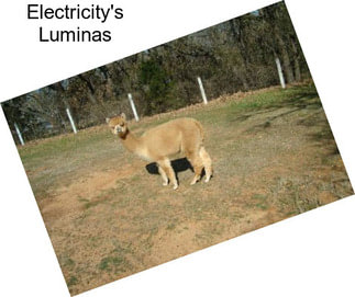 Electricity\'s Luminas