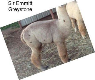 Sir Emmitt Greystone