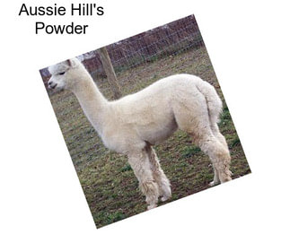 Aussie Hill\'s Powder