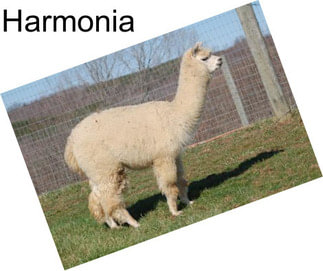 Harmonia