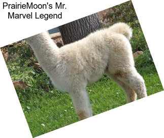 PrairieMoon\'s Mr. Marvel Legend