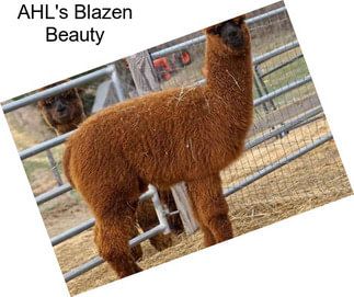 AHL\'s Blazen Beauty