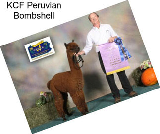 KCF Peruvian Bombshell