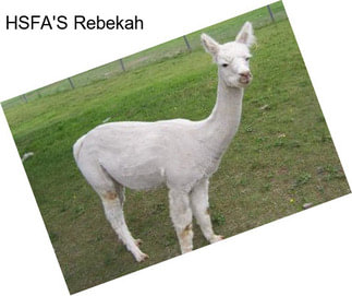 HSFA\'S Rebekah