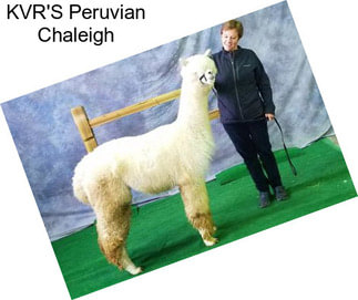 KVR\'S Peruvian Chaleigh