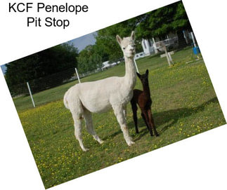 KCF Penelope Pit Stop