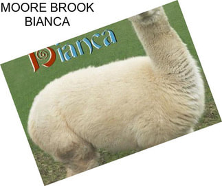 MOORE BROOK BIANCA