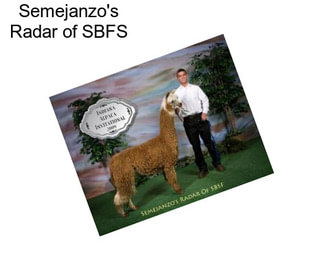 Semejanzo\'s Radar of SBFS
