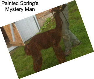 Painted Spring\'s Mystery Man