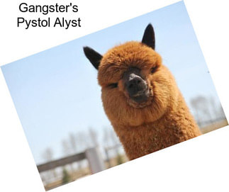 Gangster\'s Pystol Alyst
