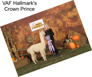 VAF Hallmark\'s Crown Prince