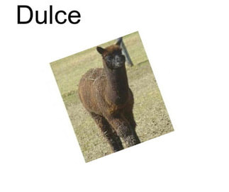 Dulce