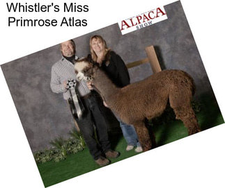 Whistler\'s Miss Primrose Atlas