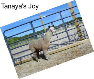 Tanaya\'s Joy