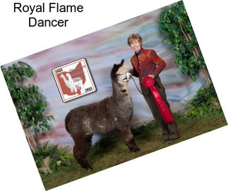 Royal Flame Dancer