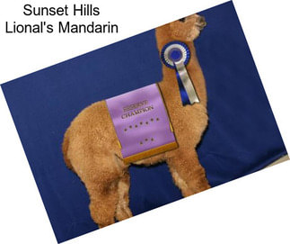 Sunset Hills Lional\'s Mandarin