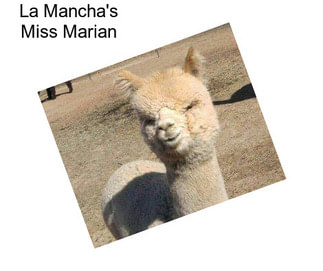 La Mancha\'s Miss Marian