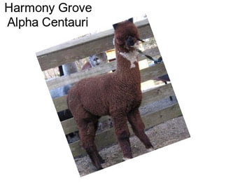 Harmony Grove Alpha Centauri