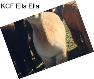 KCF Ella Ella