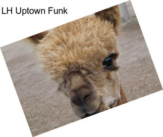 LH Uptown Funk
